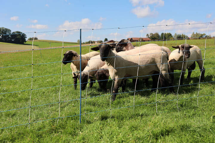 AKO Schafsnetz TitanNet Premium Vario